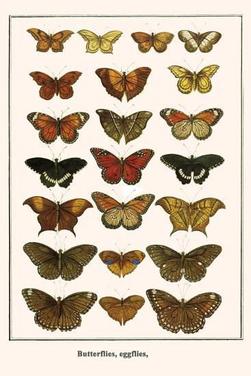 Art Print, , large
