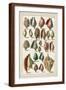 Brown Frame