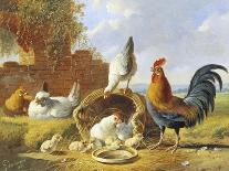The Farmyard, 1860-Albertus Verhosen-Stretched Canvas