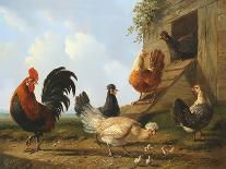 Spring Chickens-Albertus Verhosen-Framed Stretched Canvas