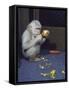 Albino Baby Gorilla Named Snowflake in Apartment of Barcelona Zoo's Veterinarian-Loomis Dean-Framed Stretched Canvas