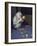 Albino Baby Gorilla Named Snowflake in Apartment of Barcelona Zoo's Veterinarian-Loomis Dean-Framed Photographic Print