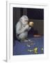 Albino Baby Gorilla Named Snowflake in Apartment of Barcelona Zoo's Veterinarian-Loomis Dean-Framed Photographic Print