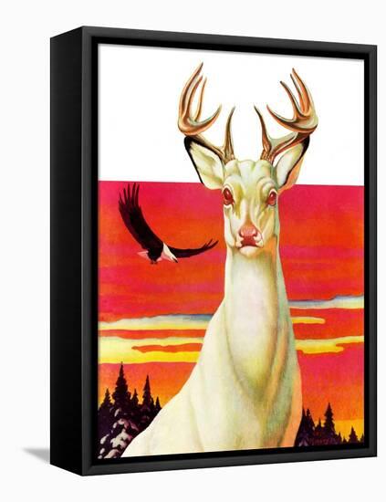 "Albino Deer,"January 8, 1938-Jack Murray-Framed Stretched Canvas