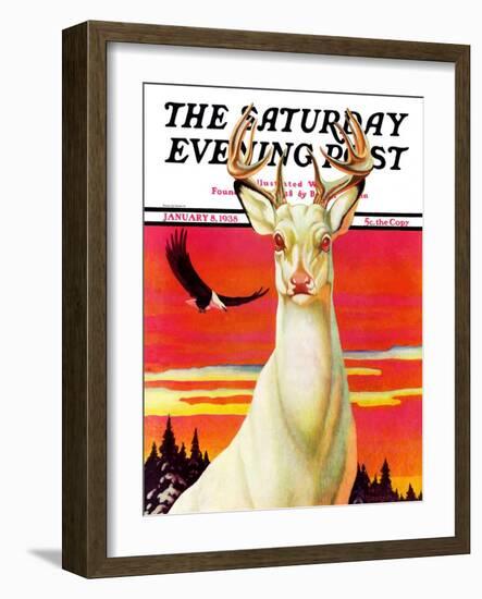 "Albino Deer," Saturday Evening Post Cover, January 8, 1938-Jack Murray-Framed Giclee Print