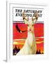 "Albino Deer," Saturday Evening Post Cover, January 8, 1938-Jack Murray-Framed Giclee Print