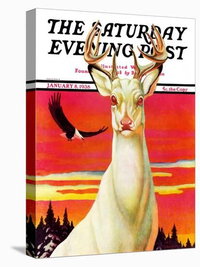 "Albino Deer," Saturday Evening Post Cover, January 8, 1938-Jack Murray-Stretched Canvas