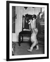 Albino Monkey "Snowflake" Living in Barcelona Zoo Vet's Apartment-Loomis Dean-Framed Photographic Print