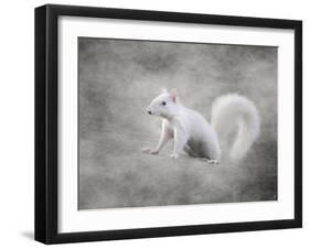 Albino Squirrel-Jai Johnson-Framed Giclee Print