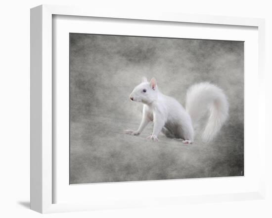 Albino Squirrel-Jai Johnson-Framed Giclee Print