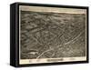 Albion 1880 Bird's Eye View-null-Framed Stretched Canvas