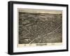 Albion 1880 Bird's Eye View-null-Framed Giclee Print