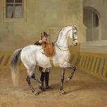 Man Training a Horse, 1856-Albrecht Adam-Giclee Print