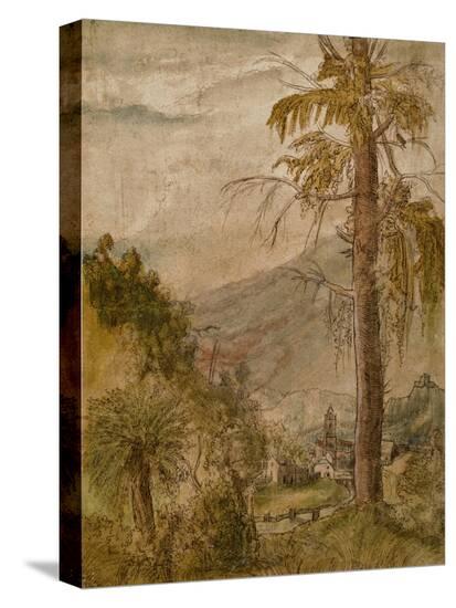 Stretched Canvas Print, , large