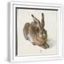White Frame