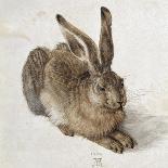 D?Rer: Tuft Of Cowslips-Albrecht Dürer-Giclee Print