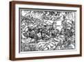 Brown Frame