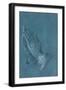 Black Frame