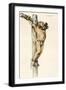 Black Frame
