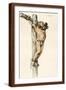 Brown Frame