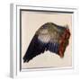 White Frame