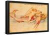 Albrecht Durer Ambras Art Book Arion Art Print Poster-null-Framed Poster