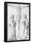 Albrecht Durer (Crucifixion of Christ)-null-Framed Poster