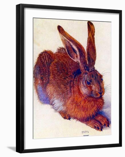 Albrecht Durer Field Hare Plastic Sign-Albrecht Dürer-Framed Art Print