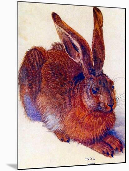 Albrecht Durer Field Hare Plastic Sign-Albrecht Dürer-Mounted Art Print