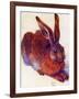 Albrecht Durer Field Hare Plastic Sign-Albrecht Dürer-Framed Art Print