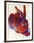 Albrecht Durer Field Hare Plastic Sign-Albrecht Dürer-Framed Art Print