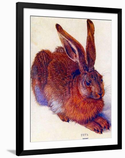 Albrecht Durer Field Hare Plastic Sign-Albrecht Dürer-Framed Art Print