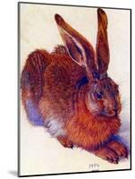 Albrecht Durer Field Hare Plastic Sign-Albrecht Dürer-Mounted Art Print