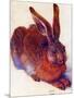 Albrecht Durer Field Hare Plastic Sign-Albrecht Dürer-Mounted Art Print