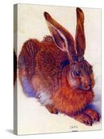 Albrecht Durer Field Hare Plastic Sign-Albrecht Dürer-Stretched Canvas