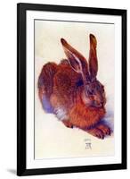 Albrecht Durer Field Hare-Albrecht Dürer-Framed Art Print