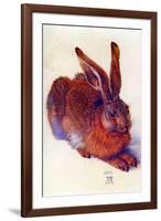 Albrecht Durer Field Hare-Albrecht Dürer-Framed Art Print