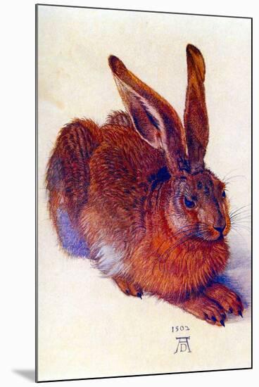 Albrecht Durer Field Hare-Albrecht Dürer-Mounted Art Print