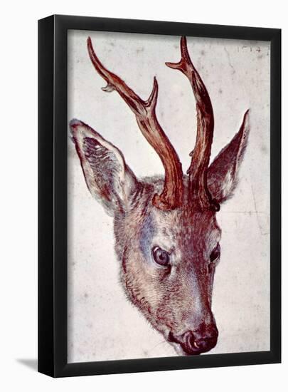 Albrecht Durer (Head of a deer)-null-Framed Poster