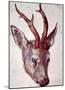 Albrecht Durer (Head of a deer)-null-Mounted Poster