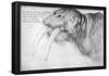 Albrecht Durer (Head of a walrus)-null-Framed Poster