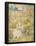 Albrecht Durer (Madonna with the many animals)-null-Framed Poster