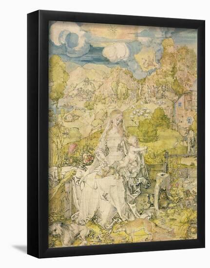 Albrecht Durer (Madonna with the many animals)-null-Framed Poster