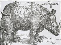 Rhinoceros, 1515-Albrecht Durer-Art Print