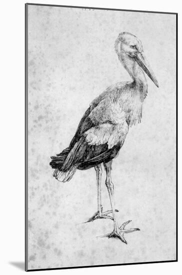 Albrecht Durer (Storch) Art Poster Print-null-Mounted Poster