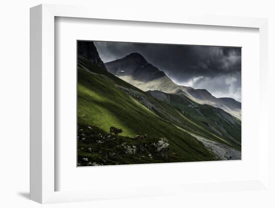 Albula Pass, Switzerland-Vito Guarino-Framed Photographic Print