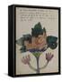 Album Ancien culte Mahori :  Un accouplement et feuille vierge avec dessin rapporté-Paul Gauguin-Framed Stretched Canvas