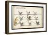 Album ; Ballet  Fées  Forêts de Saint Germain ; "Jeu du renard et  pou"; huit figures-Daniel Rabel-Framed Giclee Print