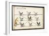 Album ; Ballet  Fées  Forêts de Saint Germain ; "Jeu du renard et  pou"; huit figures-Daniel Rabel-Framed Giclee Print