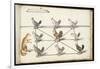 Album ; Ballet  Fées  Forêts de Saint Germain ; "Jeu du renard et  pou"; huit figures-Daniel Rabel-Framed Giclee Print